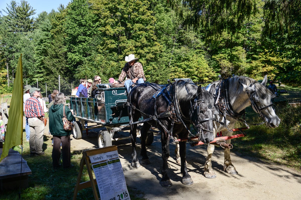 Horse-drawn wagon ride.
