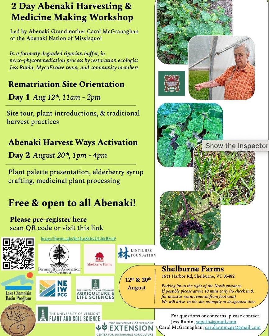 Poster for 2 Day Abenaki Harvesting & Medicine Making Workshop.