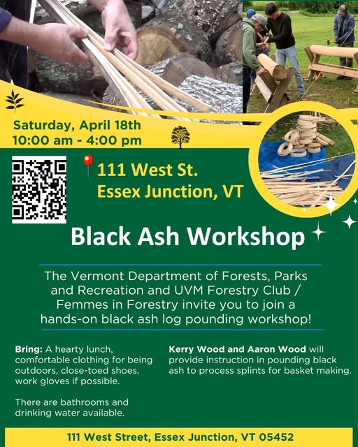 Black ash workshop poster